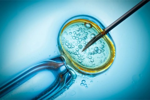 http://huizhou.qqkaixin.com/post/199.html|惠州供卵助孕